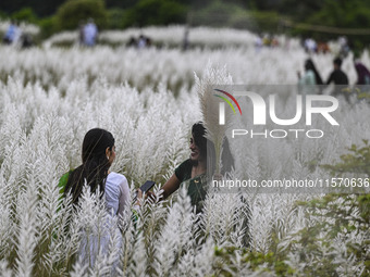 People visit the kans grass flower field in the afternoon in the Saraighat area in Dhaka, Bangladesh, on September 13, 2024. (