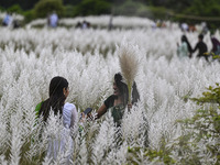 People visit the kans grass flower field in the afternoon in the Saraighat area in Dhaka, Bangladesh, on September 13, 2024. (