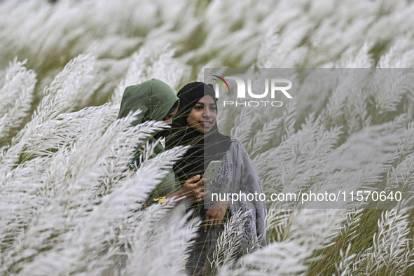 People visit the kans grass flower field in the afternoon in the Saraighat area in Dhaka, Bangladesh, on September 13, 2024. 