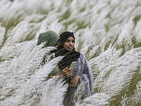 People visit the kans grass flower field in the afternoon in the Saraighat area in Dhaka, Bangladesh, on September 13, 2024. (