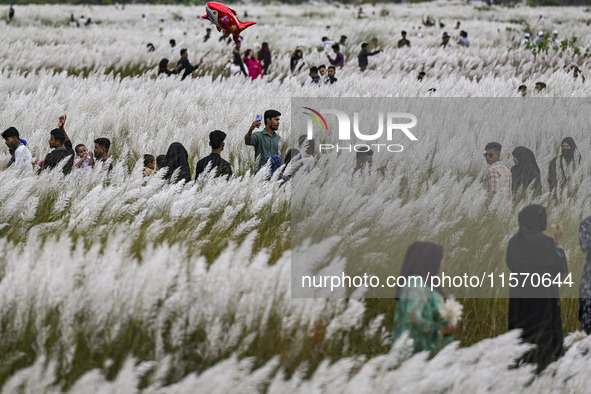 People visit the kans grass flower field in the afternoon in the Saraighat area in Dhaka, Bangladesh, on September 13, 2024. 