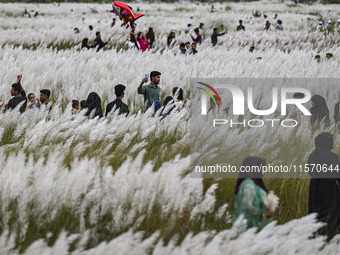 People visit the kans grass flower field in the afternoon in the Saraighat area in Dhaka, Bangladesh, on September 13, 2024. (