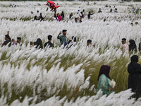 People visit the kans grass flower field in the afternoon in the Saraighat area in Dhaka, Bangladesh, on September 13, 2024. (