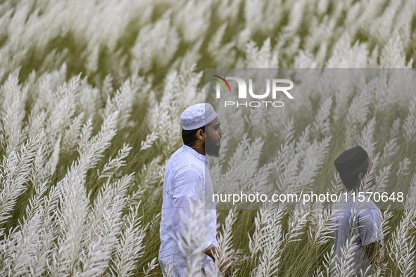 People visit the kans grass flower field in the afternoon in the Saraighat area in Dhaka, Bangladesh, on September 13, 2024. 