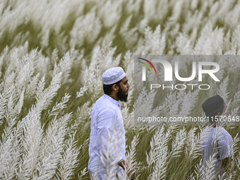 People visit the kans grass flower field in the afternoon in the Saraighat area in Dhaka, Bangladesh, on September 13, 2024. (