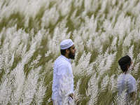 People visit the kans grass flower field in the afternoon in the Saraighat area in Dhaka, Bangladesh, on September 13, 2024. (