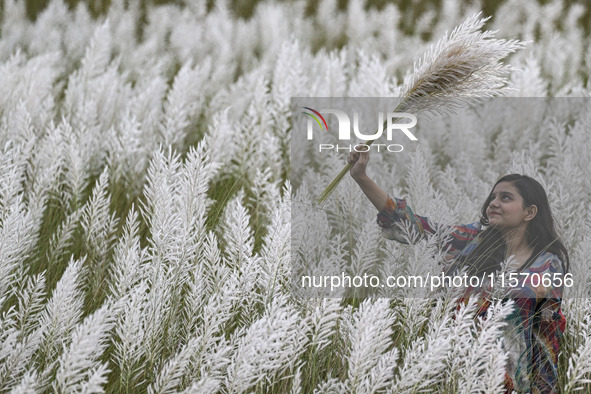 A girl holds a kans grass flower in a kans grass flower field in the afternoon in Dhaka, Bangladesh, on September 13, 2024. 