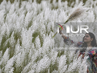 A girl holds a kans grass flower in a kans grass flower field in the afternoon in Dhaka, Bangladesh, on September 13, 2024. (