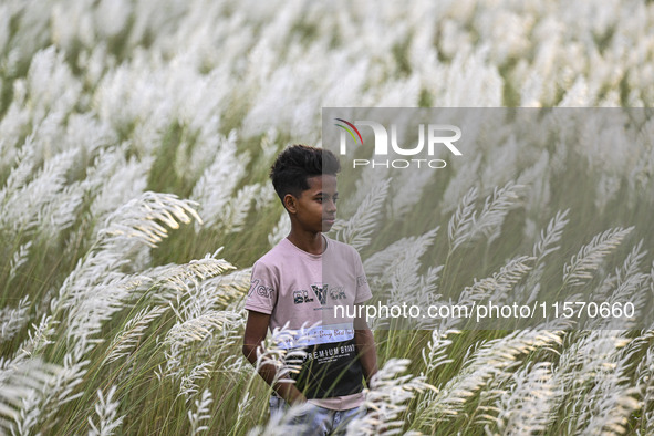 A boy poses for a photo at a Kans grass flower field in the afternoon in Dhaka, Bangladesh, on September 13, 2024. 