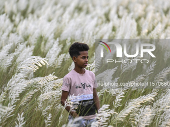 A boy poses for a photo at a Kans grass flower field in the afternoon in Dhaka, Bangladesh, on September 13, 2024. (