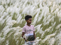 A boy poses for a photo at a Kans grass flower field in the afternoon in Dhaka, Bangladesh, on September 13, 2024. (