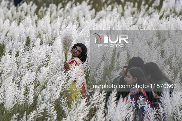 A girl holds a kans grass flower in a kans grass flower field in the afternoon in Dhaka, Bangladesh, on September 13, 2024. 