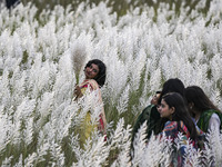 A girl holds a kans grass flower in a kans grass flower field in the afternoon in Dhaka, Bangladesh, on September 13, 2024. (