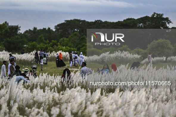 People visit the kans grass flower field in the afternoon in the Saraighat area in Dhaka, Bangladesh, on September 13, 2024. 