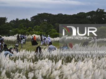 People visit the kans grass flower field in the afternoon in the Saraighat area in Dhaka, Bangladesh, on September 13, 2024. (