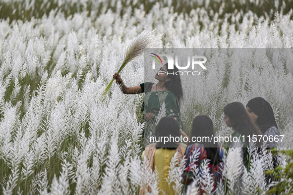 A girl holds a kans grass flower in a kans grass flower field in the afternoon in Dhaka, Bangladesh, on September 13, 2024. 