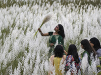 A girl holds a kans grass flower in a kans grass flower field in the afternoon in Dhaka, Bangladesh, on September 13, 2024. (