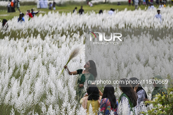 A girl holds a kans grass flower in a kans grass flower field in the afternoon in Dhaka, Bangladesh, on September 13, 2024. 