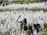 A girl holds a kans grass flower in a kans grass flower field in the afternoon in Dhaka, Bangladesh, on September 13, 2024. (