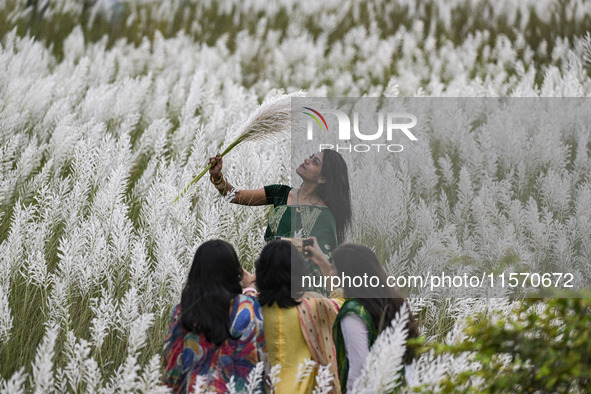 A girl holds a kans grass flower in a kans grass flower field in the afternoon in Dhaka, Bangladesh, on September 13, 2024. 