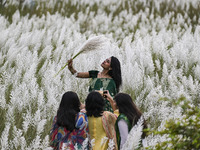 A girl holds a kans grass flower in a kans grass flower field in the afternoon in Dhaka, Bangladesh, on September 13, 2024. (