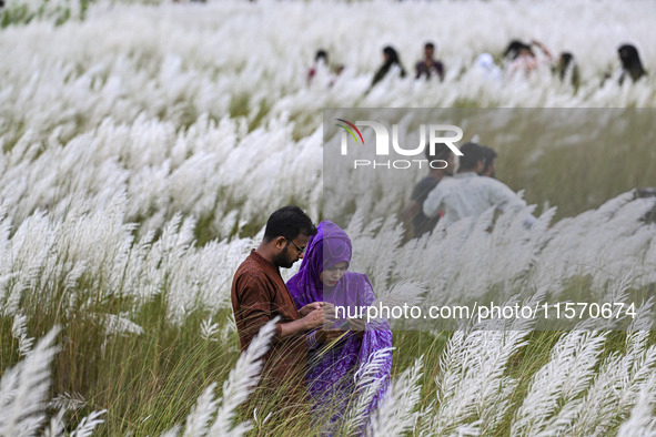 People visit the kans grass flower field in the afternoon in the Saraighat area in Dhaka, Bangladesh, on September 13, 2024. 