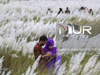 People visit the kans grass flower field in the afternoon in the Saraighat area in Dhaka, Bangladesh, on September 13, 2024. (