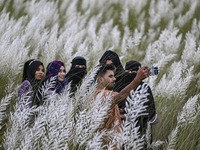 People visit the kans grass flower field in the afternoon in the Saraighat area in Dhaka, Bangladesh, on September 13, 2024. (