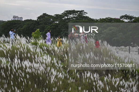 People visit the kans grass flower field in the afternoon in the Saraighat area in Dhaka, Bangladesh, on September 13, 2024. 