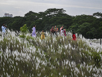 People visit the kans grass flower field in the afternoon in the Saraighat area in Dhaka, Bangladesh, on September 13, 2024. (