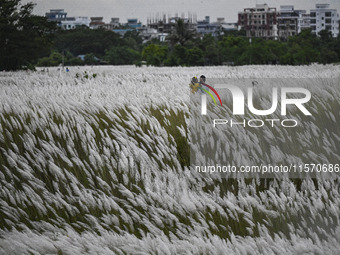 People visit the kans grass flower field in the afternoon in the Saraighat area in Dhaka, Bangladesh, on September 13, 2024. (