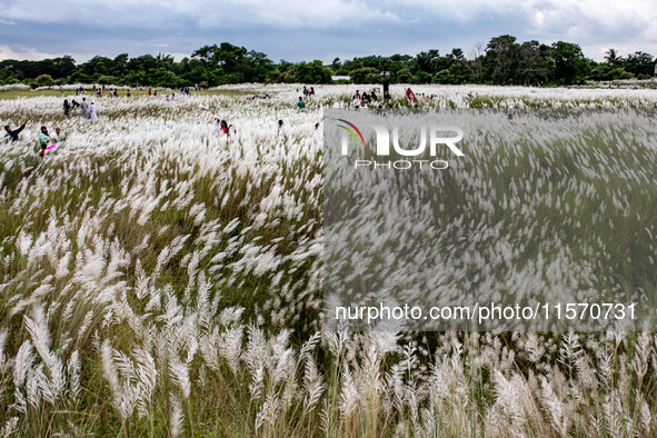 People Visit A Kans Grass Flower Field On The Afternoon Of The Weekend, At The Sarighat Area In Dhaka, Bangladesh, On Friday, September 13,...