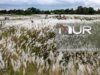 People Visit A Kans Grass Flower Field On The Afternoon Of The Weekend, At The Sarighat Area In Dhaka, Bangladesh, On Friday, September 13,...