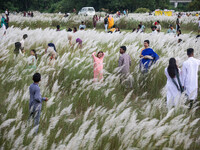 People Visit A Kans Grass Flower Field On The Afternoon Of The Weekend, At The Sarighat Area In Dhaka, Bangladesh, On Friday, September 13,...