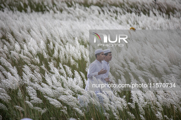 People Visit A Kans Grass Flower Field On The Afternoon Of The Weekend, At The Sarighat Area In Dhaka, Bangladesh, On Friday, September 13,...