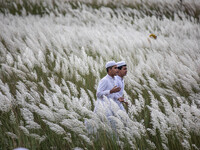 People Visit A Kans Grass Flower Field On The Afternoon Of The Weekend, At The Sarighat Area In Dhaka, Bangladesh, On Friday, September 13,...