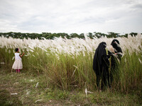 People Visit A Kans Grass Flower Field On The Afternoon Of The Weekend, At The Sarighat Area In Dhaka, Bangladesh, On Friday, September 13,...