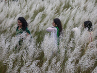 People Visit A Kans Grass Flower Field On The Afternoon Of The Weekend, At The Sarighat Area In Dhaka, Bangladesh, On Friday, September 13,...