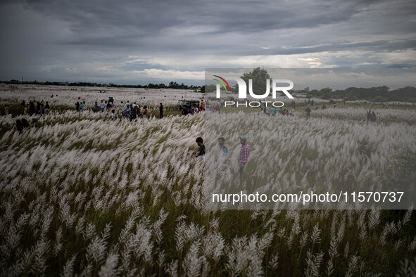 People Visit A Kans Grass Flower Field On The Afternoon Of The Weekend, At The Sarighat Area In Dhaka, Bangladesh, On Friday, September 13,...