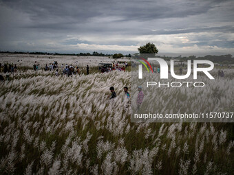 People Visit A Kans Grass Flower Field On The Afternoon Of The Weekend, At The Sarighat Area In Dhaka, Bangladesh, On Friday, September 13,...