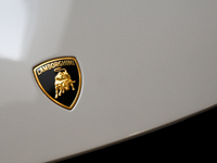 The Lamborghini logo is seen during the Tuning Show Expo in Krakow, Poland, on September 8, 2024. (