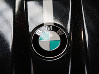 The BMW logo is seen during the Tuning Show Expo in Krakow, Poland, on September 8, 2024. (