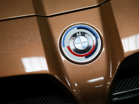 The BMW logo is seen during the Tuning Show Expo in Krakow, Poland, on September 8, 2024. (