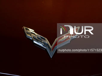 The Chevrolet Corvette logo is seen during the Tuning Show Expo in Krakow, Poland, on September 8, 2024. (