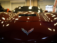 The Chevrolet Corvette logo is seen during the Tuning Show Expo in Krakow, Poland, on September 8, 2024. (