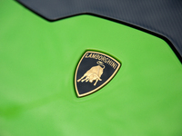 The Lamborghini logo is seen during the Tuning Show Expo in Krakow, Poland, on September 8, 2024. (