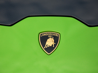 The Lamborghini logo is seen during the Tuning Show Expo in Krakow, Poland, on September 8, 2024. (