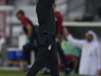 Al Sadd SC head coach Felix Sanchez Bas reacts during the Ooredoo Qatar Stars League 24/25 match between Al-Sadd SC and Umm Salal SC at Jass...