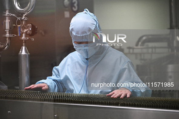 A worker checks a glass ampoule at a pharmaceutical company in Suqian, China, on September 13, 2024. 