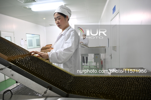 A worker places glass ampoules at a pharmaceutical company in Suqian, China, on September 13, 2024. 